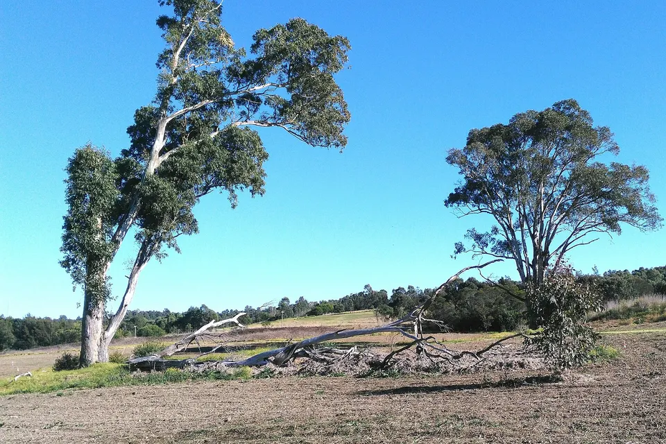 In Greater Western Sydney, Australia