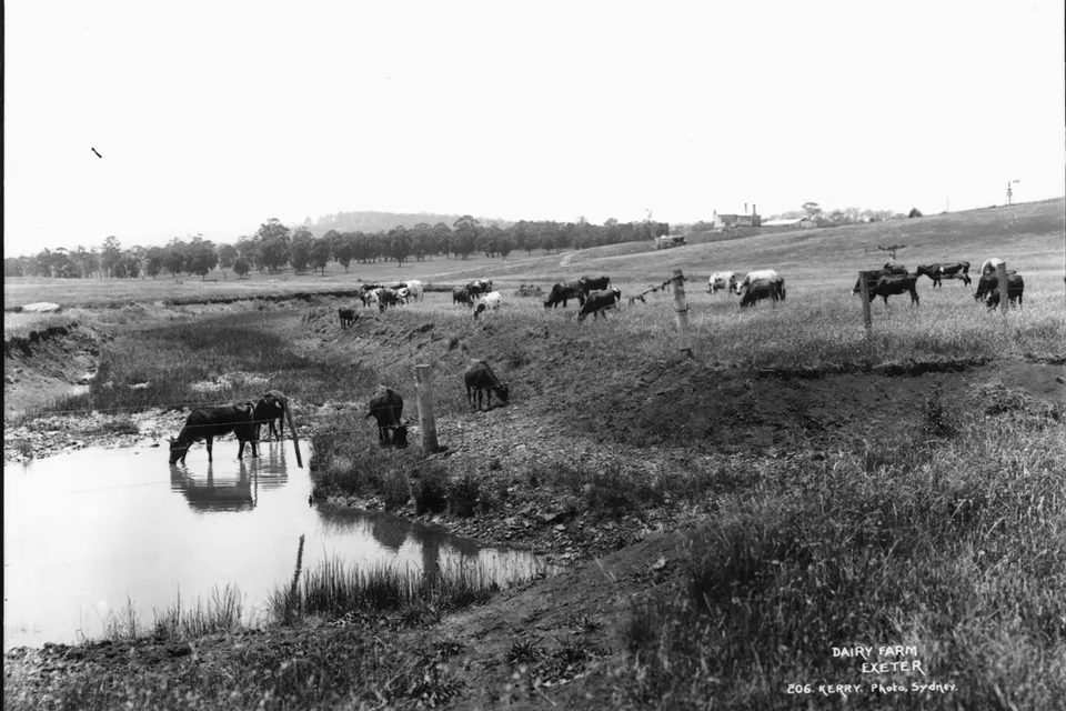 Format: Glass plate negative. Rights Info: No known restrictions on publication.