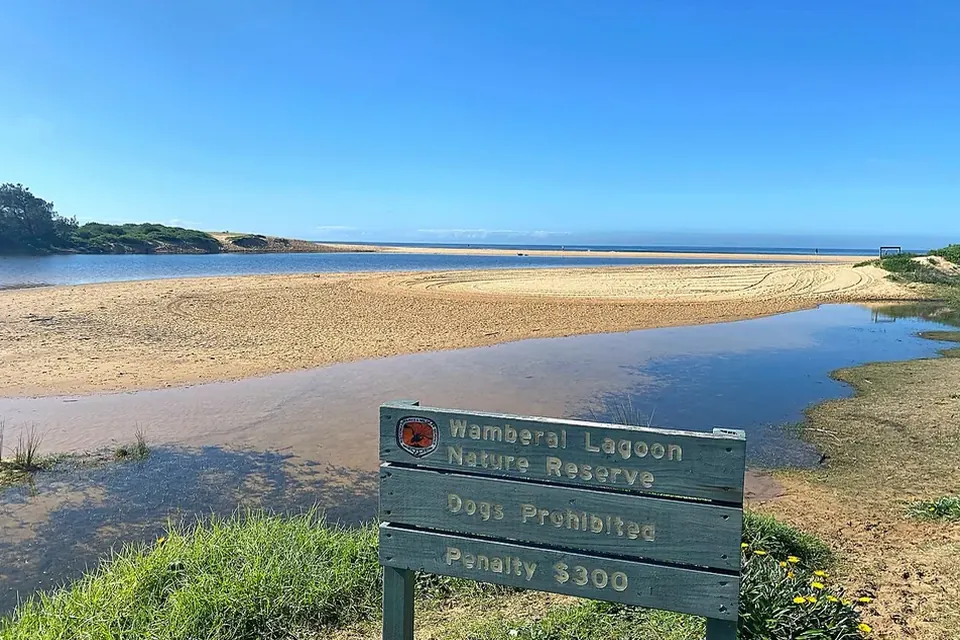 Wamberal